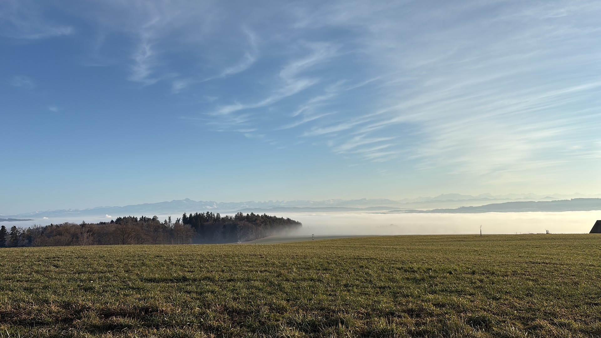 Teaser-Bild der Veranstaltung